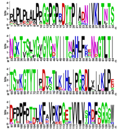 A group of letters and numbers
Description automatically generated