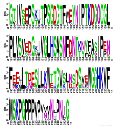 A group of letters and numbers
Description automatically generated