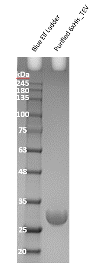 A close-up of a dna test

Description automatically generated